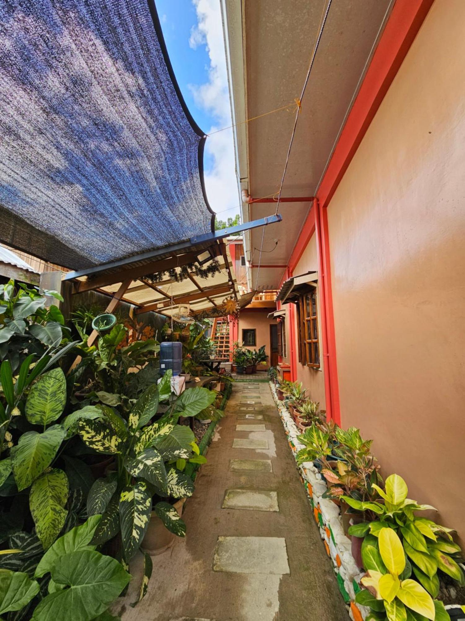 Ferranco Tourist Inn San Vicente  Luaran gambar