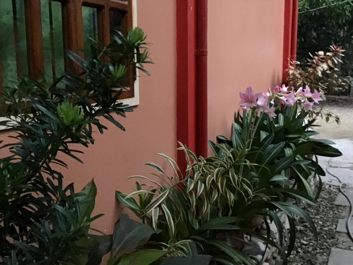 Ferranco Tourist Inn San Vicente  Luaran gambar